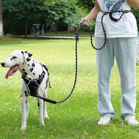 Cymiler Hands Free Dog Leash, 8 Ft Reflective Cross-Body Pet Rope Leashes with Sponge Handle, Heavy Duty Nylon, for Running, Hiking, Training, Waist Leash for Small Medium Large Dogs (Black) in Saudi Arabia