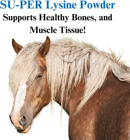 SU-PER Lysine Supplement for Horses - Supports Healthy Bones & Muscle Tissues - Equine Essential Amino Acid - 2.5 Pound, (2 Pack) in Kuwait