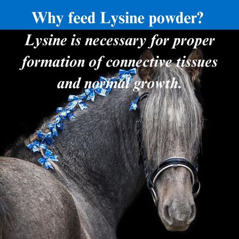 SU-PER Lysine Supplement for Horses - Supports Healthy Bones & Muscle Tissues - Equine Essential Amino Acid - 2.5 Pound, (2 Pack) in Kuwait