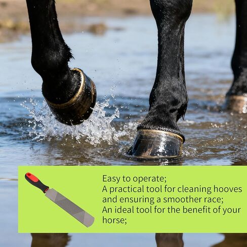Hoof Rasp for Horse, 14in/33.5cm Steel Goats Sheep Hoof Rasp Double-Sided Rough or Fine Teeth Design Trimmers Farrier Tool Supplies for Horse Donkey Cow Goat Hooves Trimming Smoothing and Grooming in Saudi Arabia