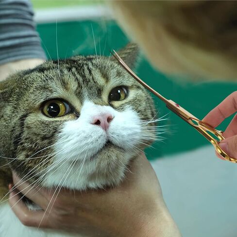 Dog Grooming Scissors, with Ergonomic Handle, Pill Popper for Cats, Upper Bend Shears, Stainless Steel Curved Shears for Dogs Cats, 7.5inch Golden in Kuwait