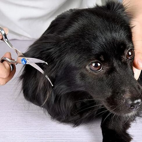 Curved Dog Grooming Scissors, 6 In Stainless Steel Pet Grooming Shears with Safety Round Tips for Dog Cat and Other Pets, Professional Trimming Tools for Face and Paws, Blue in Saudi Arabia
