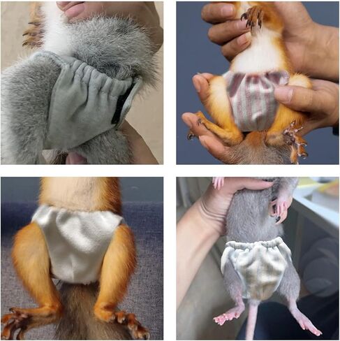 2PCS Small Pet Diapers,Adjustable Sugar Glider Diapers Climbing Diapers,Washable,Specially Designed for Use on Pet Squirrels Small Medium Guinea Pig. (Grey, S) in Saudi Arabia