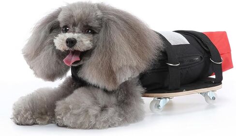 تساعد PANGBOER على حماية صدر الحيوانات الأليفة وقابلة للتنفس من أجل حقيبة سحب قماشية للحيوانات الأليفة المشلولة للكلاب المعاقين in Kuwait