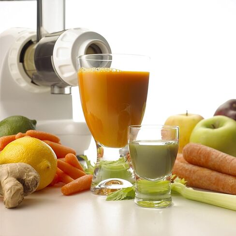 Omega J8004x Nutrition Center Commercial Masticating Juicer, White (Renewed) in Saudi Arabia