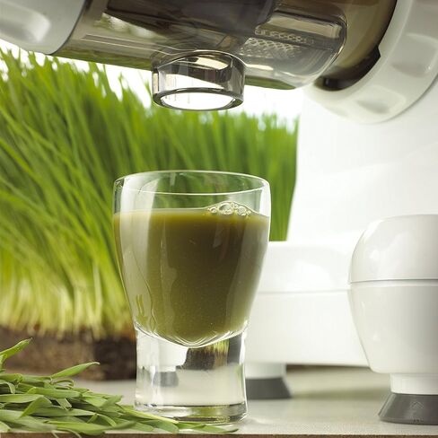 Omega J8004x Nutrition Center Commercial Masticating Juicer, White (Renewed) in Saudi Arabia