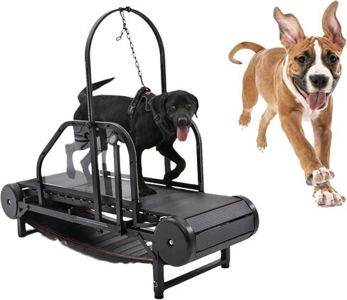 Dog Treadmill, Canine Treadmill, Easy to Move, Dog Pacer Treadmill for Small/Medium Dogs, Slatmill for Dogs, Pet Treadmill for Dogs Indoor & Outdoor,Training for Dogs in Saudi Arabia