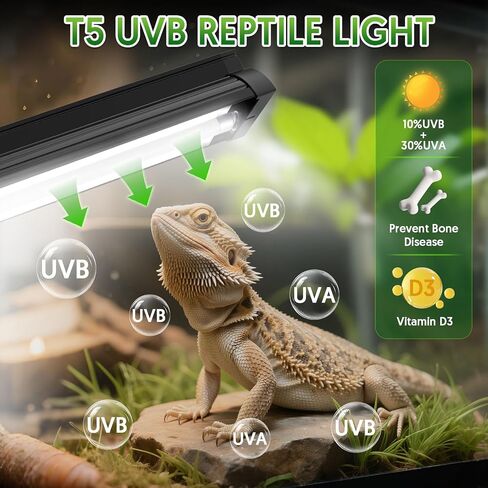 QZQ T5 UVB طقم تركيبات إضاءة للزواحف 8 وات، 10.0 ضوء UVB للزواحف، غطاء تررم يأتي مع مصباح الزواحف الصحراوية للتنين الملتحي، أبو بريص، السلحفاة، السحلية in Kuwait