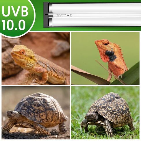 QZQ T5 UVB طقم تركيبات إضاءة للزواحف 8 وات، 10.0 ضوء UVB للزواحف، غطاء تررم يأتي مع مصباح الزواحف الصحراوية للتنين الملتحي، أبو بريص، السلحفاة، السحلية in Kuwait