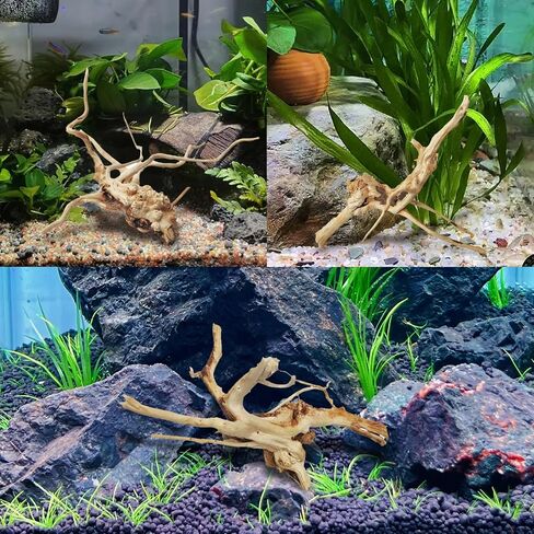 kathson حوض السمك Driftwood فروع الزواحف الخشب الطبيعي Spiderwood Driftwood لحوض السمك 5-6 "11 جهاز كمبيوتر شخصى Terrarium حلية جذع خزان الأسماك سجل الموئل الديكور شجرة جذع الديكور أحجام متنوعة الخشب in Saudi Arabia