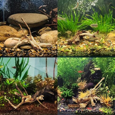 kathson حوض السمك Driftwood فروع الزواحف الخشب الطبيعي Spiderwood Driftwood لحوض السمك 5-6 "11 جهاز كمبيوتر شخصى Terrarium حلية جذع خزان الأسماك سجل الموئل الديكور شجرة جذع الديكور أحجام متنوعة الخشب in Saudi Arabia