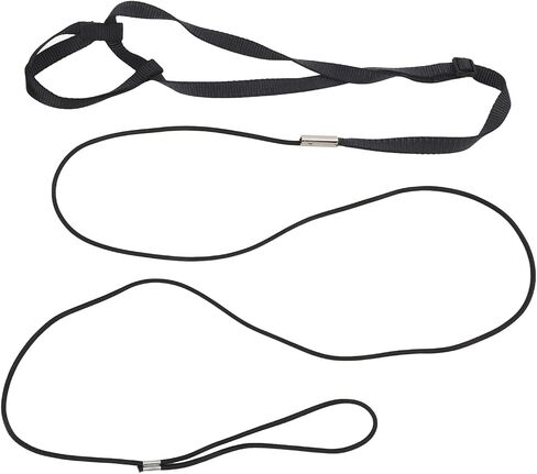 BITE and Light, Adjustable Flying Rope, Nylon Webbing Leash with Elastic Rope, for Walking Birds and Attending Parties (S) in Saudi Arabia