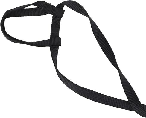 BITE and Light, Adjustable Flying Rope, Nylon Webbing Leash with Elastic Rope, for Walking Birds and Attending Parties (S) in Saudi Arabia