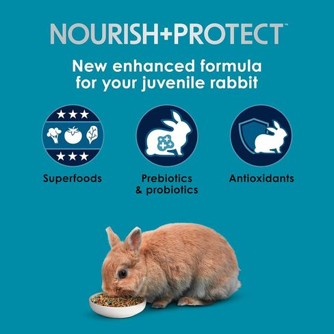 Kaytee Forti-Diet Pro Health Nourish+Protect طعام الأرانب الصغير، تغذية شاملة مدعومة بالعلم، صحة الجهاز الهضمي، دعم المناعة، 3 أرطال in Saudi Arabia