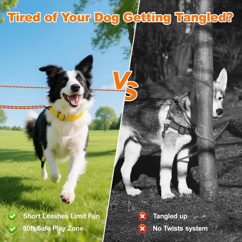 50ft Dog Tie Out Cable, Dog Leash, Long Leash for Dogs Outside, Lead for Camping, Tether for Yard, Line (Blue) in Saudi Arabia