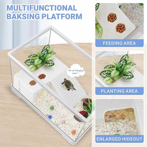 مجموعة خزان السلحفاة المائية الصغيرة من GOZILLA مع مصباح قابل للتعديل، مجموعة بداية خزان السلاحف PC، خزانات سرطان البحر الناسك الصغيرة مع غطاء، منصة معلقة لسلاحف الأطفال وسرطان البحر والأسماك. (11.8 × 7.24 × 7.1 بوصة/طقم أسود) in Kuwait