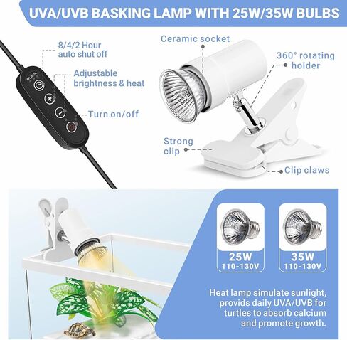 مجموعة خزان السلحفاة المائية الصغيرة من GOZILLA مع مصباح قابل للتعديل، مجموعة بداية خزان السلاحف PC، خزانات سرطان البحر الناسك الصغيرة مع غطاء، منصة معلقة لسلاحف الأطفال وسرطان البحر والأسماك. (11.8 × 7.24 × 7.1 بوصة/طقم أسود) in Kuwait