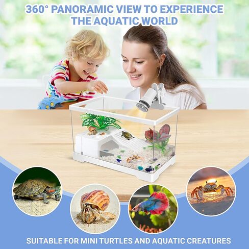 مجموعة خزان السلحفاة المائية الصغيرة من GOZILLA مع مصباح قابل للتعديل، مجموعة بداية خزان السلاحف PC، خزانات سرطان البحر الناسك الصغيرة مع غطاء، منصة معلقة لسلاحف الأطفال وسرطان البحر والأسماك. (11.8 × 7.24 × 7.1 بوصة/طقم أسود) in Kuwait
