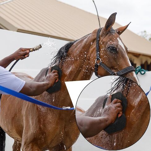 6 عبوات من إسفنجة العناية بالحصان، كتلة إسفنجية متينة لحمام الحصان للتنظيف والتدليك، فرشاة تنظيف قابلة لإعادة الاستخدام لشعر الجسم، لوازم أدوات تزيين الخيول للكلاب والقطط الكبيرة، سهلة الإمساك in Kuwait