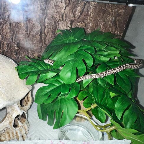 VCEPJH نباتات الزواحف مع كأس الشفط ديكور الموائل البرمائية 2 قطعة أوراق اصطناعية لديكور Terrarium ملحقات خزان أبو بريص المتوج للتنين الملتحي والسحلية والثعبان (Monstera) in Kuwait