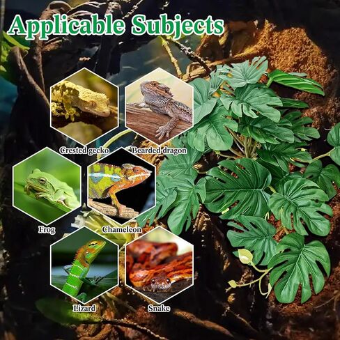 VCEPJH نباتات الزواحف مع كأس الشفط ديكور الموائل البرمائية 2 قطعة أوراق اصطناعية لديكور Terrarium ملحقات خزان أبو بريص المتوج للتنين الملتحي والسحلية والثعبان (Monstera) in Kuwait