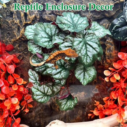 VCEPJH نباتات الزواحف مع كأس الشفط ديكور الموائل البرمائية 2 قطعة أوراق اصطناعية لديكور Terrarium ملحقات خزان أبو بريص المتوج للتنين الملتحي والسحلية والثعبان (Monstera) in Kuwait