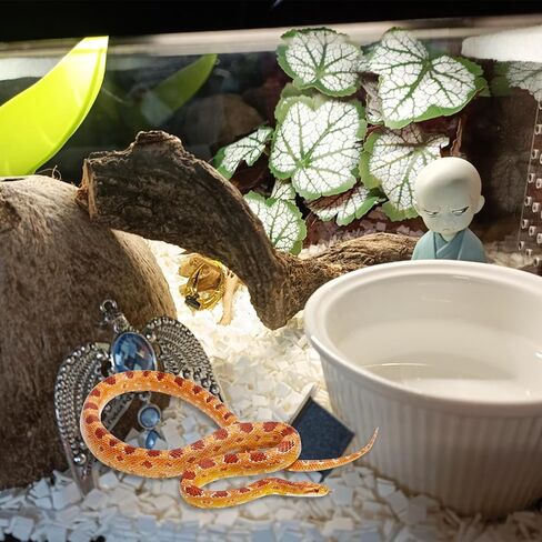 VCEPJH نباتات الزواحف مع كأس الشفط ديكور الموائل البرمائية 2 قطعة أوراق اصطناعية لديكور Terrarium ملحقات خزان أبو بريص المتوج للتنين الملتحي والسحلية والثعبان (Monstera) in Kuwait