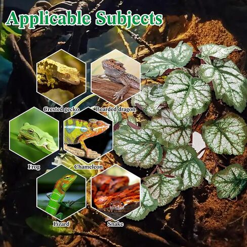 VCEPJH نباتات الزواحف مع كأس الشفط ديكور الموائل البرمائية 2 قطعة أوراق اصطناعية لديكور Terrarium ملحقات خزان أبو بريص المتوج للتنين الملتحي والسحلية والثعبان (Monstera) in Kuwait