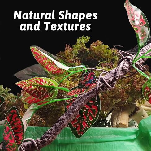 VCEPJH ديكور فرع تسلق الزواحف قطعتين من كرمة الغابة القابلة للانحناء مع كوب شفط لتزيين نباتات تررم للتنين الملتحي أبو بريص والثعبان والضفادع وإكسسوارات قفص الحرباء (V) in Kuwait