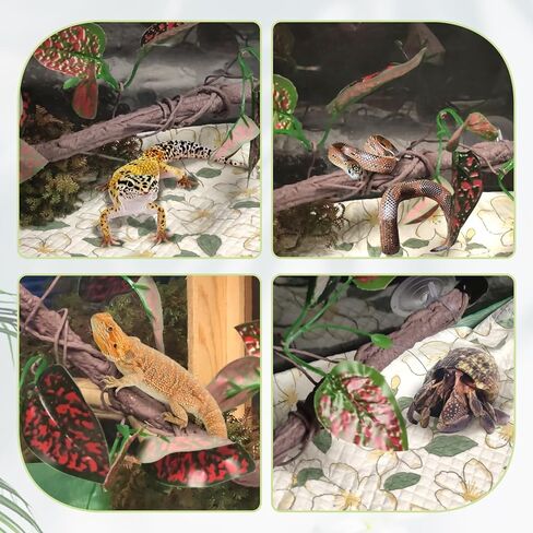 VCEPJH ديكور فرع تسلق الزواحف قطعتين من كرمة الغابة القابلة للانحناء مع كوب شفط لتزيين نباتات تررم للتنين الملتحي أبو بريص والثعبان والضفادع وإكسسوارات قفص الحرباء (V) in Kuwait