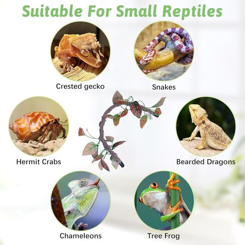 VCEPJH ديكور فرع تسلق الزواحف قطعتين من كرمة الغابة القابلة للانحناء مع كوب شفط لتزيين نباتات تررم للتنين الملتحي أبو بريص والثعبان والضفادع وإكسسوارات قفص الحرباء (V) in Kuwait