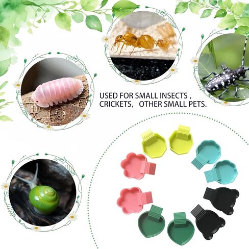 10 قطعة طبق تغذية Isopod، أوعية تغذية Isopods، صينية طعام لطبق تغذية Isopods Springtails مع منحدر in Saudi Arabia