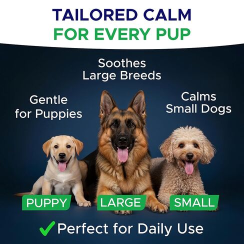 الميلاتونين للكلاب للنوم 6 ملغ - علاجات مساعدة نوم الكلاب - حبوب النوم للقلق - مضغ مهدئ قوي للغاية يساعد على النوم ليلاً - صنع في الولايات المتحدة الأمريكية - 120 قيراط in Kuwait