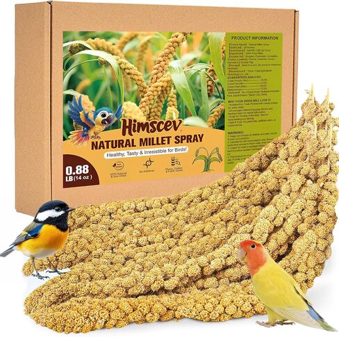 Sun-Dried Spray Millet for Birds - 0.88LBS Natural Non GMO, Healthy Millet Bird Treat, Bird Treats for Parakeets, Parrots, Cockatiels, Lovebirds, Finches & Canaries Food in Saudi Arabia