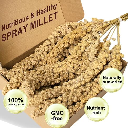 Sun-Dried Spray Millet for Birds - 0.88LBS Natural Non GMO, Healthy Millet Bird Treat, Bird Treats for Parakeets, Parrots, Cockatiels, Lovebirds, Finches & Canaries Food in Saudi Arabia