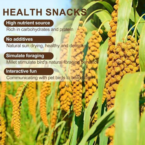 Sun-Dried Spray Millet for Birds - 0.88LBS Natural Non GMO, Healthy Millet Bird Treat, Bird Treats for Parakeets, Parrots, Cockatiels, Lovebirds, Finches & Canaries Food in Saudi Arabia
