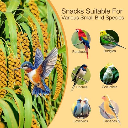 Sun-Dried Spray Millet for Birds - 0.88LBS Natural Non GMO, Healthy Millet Bird Treat, Bird Treats for Parakeets, Parrots, Cockatiels, Lovebirds, Finches & Canaries Food in Saudi Arabia