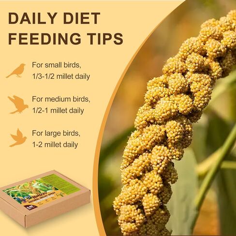 Sun-Dried Spray Millet for Birds - 0.88LBS Natural Non GMO, Healthy Millet Bird Treat, Bird Treats for Parakeets, Parrots, Cockatiels, Lovebirds, Finches & Canaries Food in Saudi Arabia