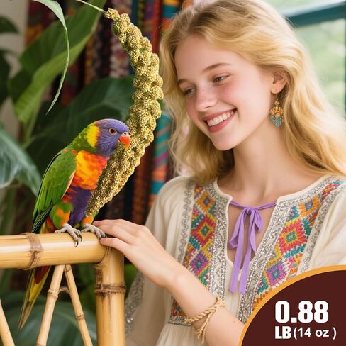 Sun-Dried Spray Millet for Birds - 0.88LBS Natural Non GMO, Healthy Millet Bird Treat, Bird Treats for Parakeets, Parrots, Cockatiels, Lovebirds, Finches & Canaries Food in Saudi Arabia