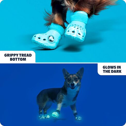 BarkBox Aqua Crocs Dog Shoes – Set of 4 Glow-in-The-Dark Dog Booties with EVA Foam, Adjustable Strap & Non-Slip Sole – Comfortable Paw Protection for Large Breeds (51-80 lbs) in Saudi Arabia