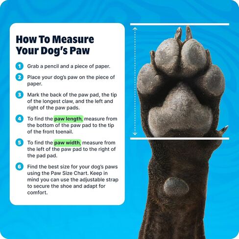BarkBox Aqua Crocs Dog Shoes – Set of 4 Glow-in-The-Dark Dog Booties with EVA Foam, Adjustable Strap & Non-Slip Sole – Comfortable Paw Protection for Large Breeds (51-80 lbs) in Saudi Arabia
