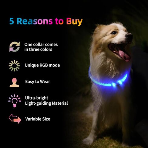 طوق الكلب المضيء، طوق الكلب LED فائق السطوع مع أوضاع إضاءة RGB، نوع C قابل لإعادة الشحن ومقاوم للماء، يتوهج في الظلام للكلاب الصغيرة والمتوسطة والكبيرة، طوق قابل للقص 70 سم، آمن للمشي ليلاً in Kuwait