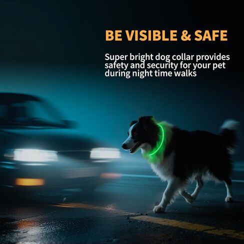 طوق الكلب المضيء، طوق الكلب LED فائق السطوع مع أوضاع إضاءة RGB، نوع C قابل لإعادة الشحن ومقاوم للماء، يتوهج في الظلام للكلاب الصغيرة والمتوسطة والكبيرة، طوق قابل للقص 70 سم، آمن للمشي ليلاً in Kuwait