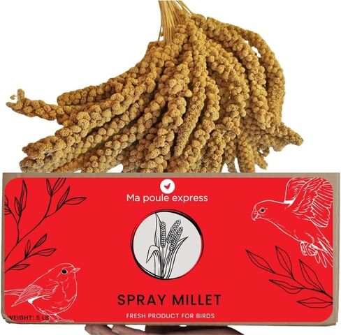 5LBS Millet Spray for Birds, GMO-Free, Sun Dried Spray Millet, Original Bird Treats & Supplement for Parrots, Cockatiels, Lovebirds, Painted Buntings and Finches, Parakeets Food Millet in Saudi Arabia