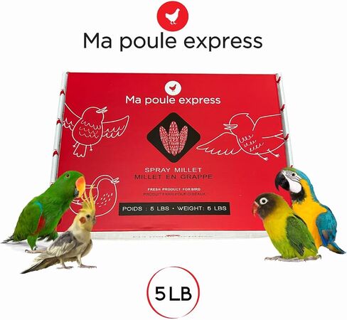 5LBS Millet Spray for Birds, GMO-Free, Sun Dried Spray Millet, Original Bird Treats & Supplement for Parrots, Cockatiels, Lovebirds, Painted Buntings and Finches, Parakeets Food Millet in Saudi Arabia
