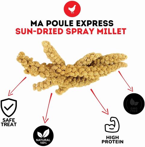 5LBS Millet Spray for Birds, GMO-Free, Sun Dried Spray Millet, Original Bird Treats & Supplement for Parrots, Cockatiels, Lovebirds, Painted Buntings and Finches, Parakeets Food Millet in Saudi Arabia
