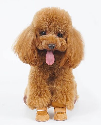 Small Dog Winter Booties, Cold Weahter Dog Shoes for Small Dogs, Boots for Cats, Yorkie, Chihuahua Cozy Boots Brown Size 4 in Saudi Arabia