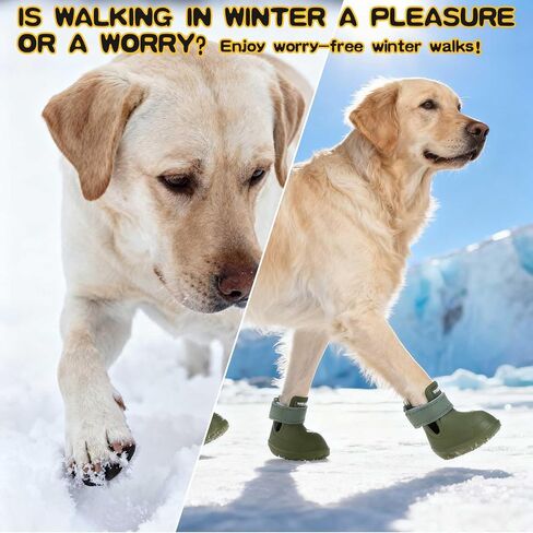 EXPAWLORER Dog Shoes for Small Medium Large Dogs, Waterproof Non-Slip Dog Snow Booties for Winter with Socks, Easy On & Off Pet Boots & Paw Protectors, Easy-Clean for Beach Outdoor Rain (Green S) in Saudi Arabia