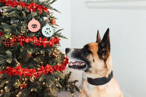 مجموعة لوحة حبر Pearhead Pet Christmas Clean Touch للكلاب والقطط، تذكار لمالك الحيوانات الأليفة، مجموعة انطباعات طباعة مخالب وأنف بدون حبر، صغيرة/متوسطة in Kuwait