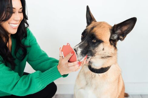 مجموعة لوحة حبر Pearhead Pet Christmas Clean Touch للكلاب والقطط، تذكار لمالك الحيوانات الأليفة، مجموعة انطباعات طباعة مخالب وأنف بدون حبر، صغيرة/متوسطة in Kuwait